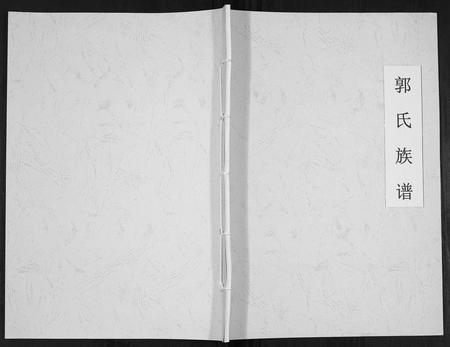 四川郭氏-郭氏族谱[不分卷].pdf电子版缩略图