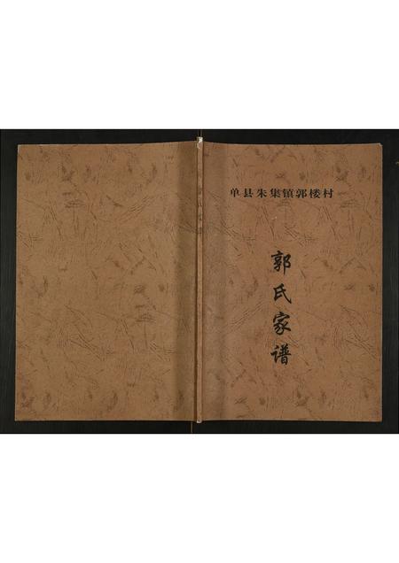 山东郭氏-郭氏家谱.pdf电子版缩略图