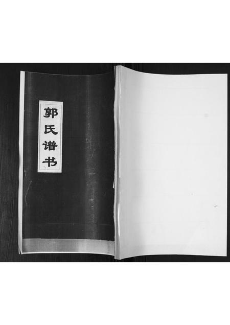 山东郭氏-郭氏族谱.pdf电子版缩略图