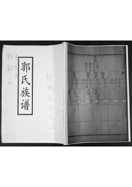 山东郭氏-郭氏族谱.pdf电子版缩略图