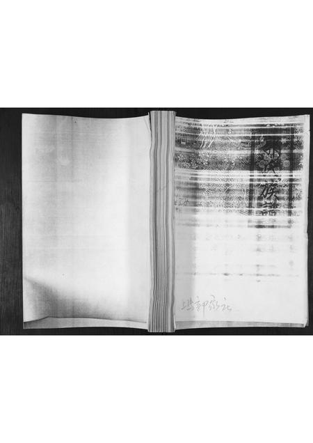 山东郭氏-郭氏族谱.pdf电子版缩略图