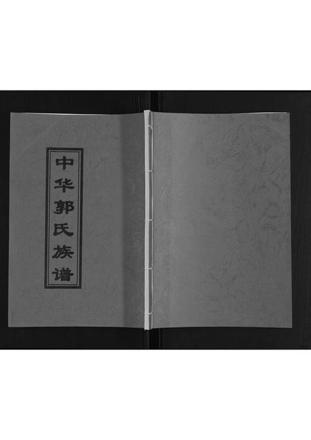 山东郭氏-郭氏族谱.pdf电子版缩略图