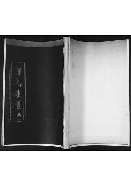 山东郭氏-郭氏族谱[2卷].pdf电子版缩略图