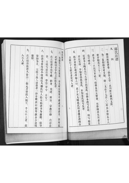 山东郭氏-郭氏族谱[2卷].pdf电子版预览图5