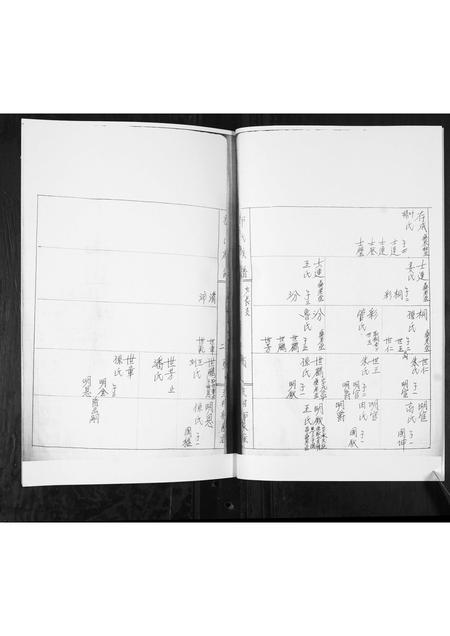 山东郭氏-郭氏族谱[上下集].pdf电子版预览图4