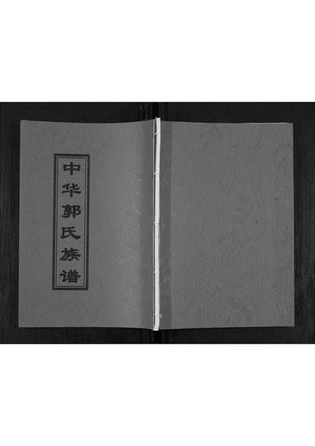 山东郭氏-郭氏族谱[不分卷].pdf电子版缩略图