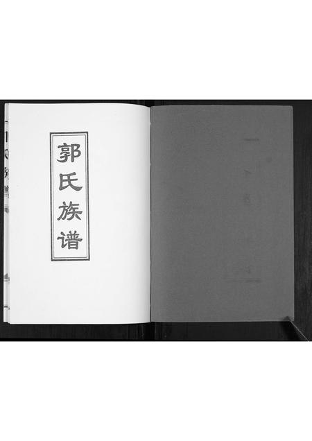 山东郭氏-郭氏族谱[不分卷].pdf电子版预览图1