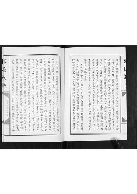 山东郭氏-郭氏族谱[不分卷].pdf电子版预览图3