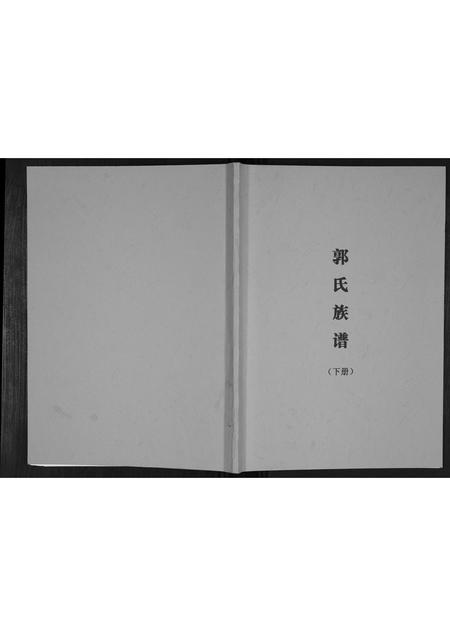 广西郭氏-郭氏族谱.pdf电子版缩略图