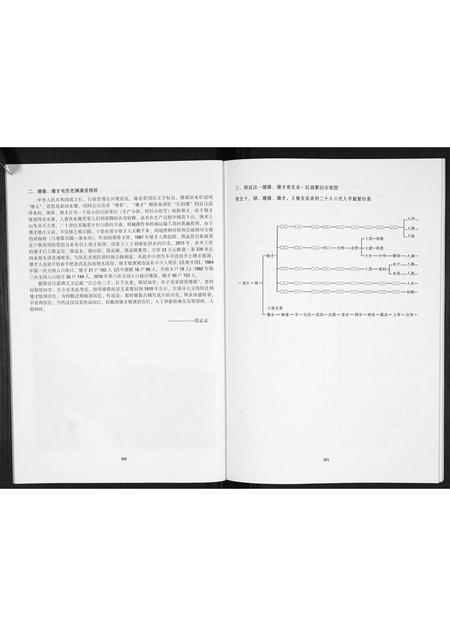 广西郭氏-郭氏族谱.pdf电子版预览图5