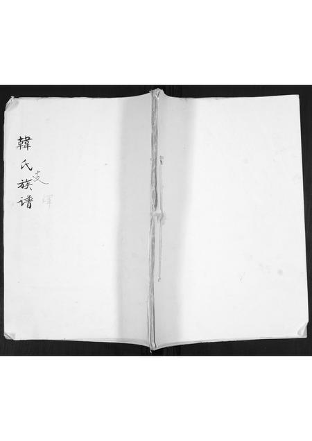 山东韩氏-韩氏支谱.pdf电子版缩略图