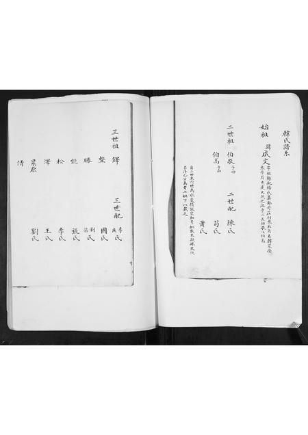 山东韩氏-韩氏支谱.pdf电子版预览图4