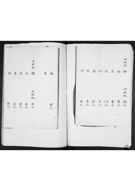 山东韩氏-韩氏支谱.pdf电子版预览图5