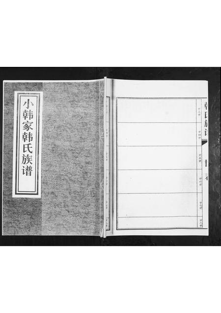 山东韩氏-韩氏族谱.pdf电子版缩略图