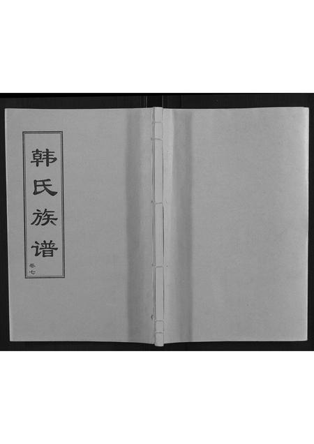山东韩氏-韩氏族谱.pdf电子版缩略图