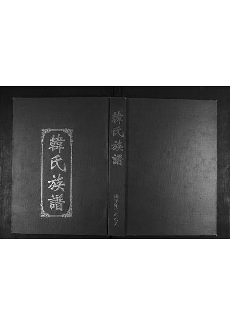 山东韩氏-韩氏族谱.pdf电子版缩略图