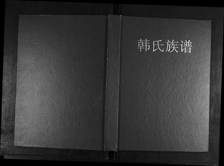 山东韩氏-韩氏族谱.pdf电子版缩略图