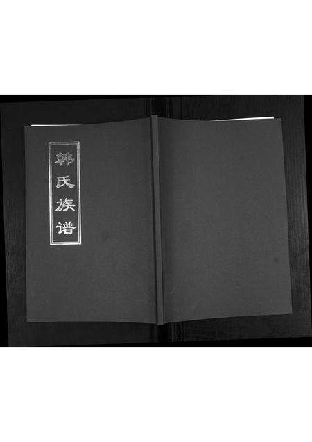 山东韩氏-韩氏族谱.pdf电子版缩略图