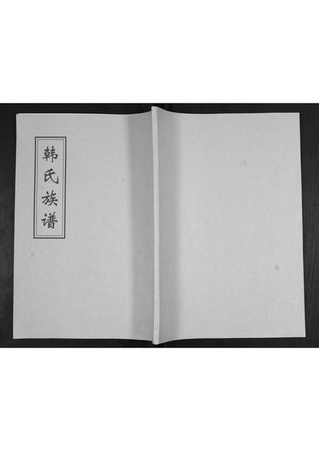 山东韩氏-韩氏族谱.pdf电子版缩略图