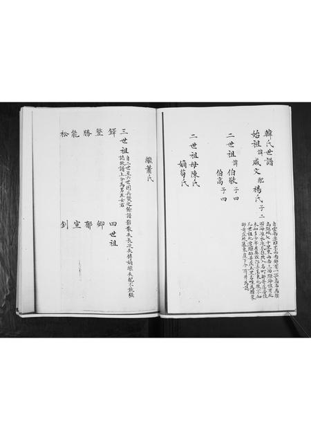 山东韩氏-韩氏族谱.pdf电子版预览图4