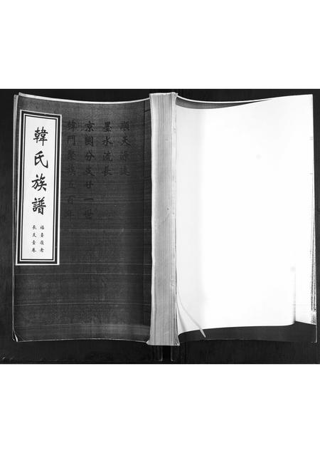 山东韩氏-韩氏族谱.福台岭老长支.pdf电子版缩略图