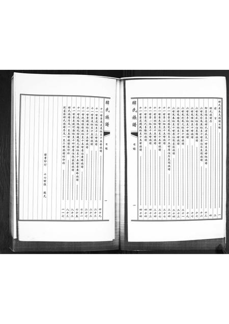 山东韩氏-韩氏族谱.福台岭老长支.pdf电子版预览图2