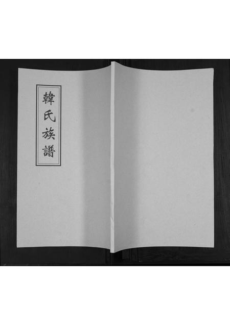 山东韩氏-韩氏族谱[不分卷].pdf电子版缩略图