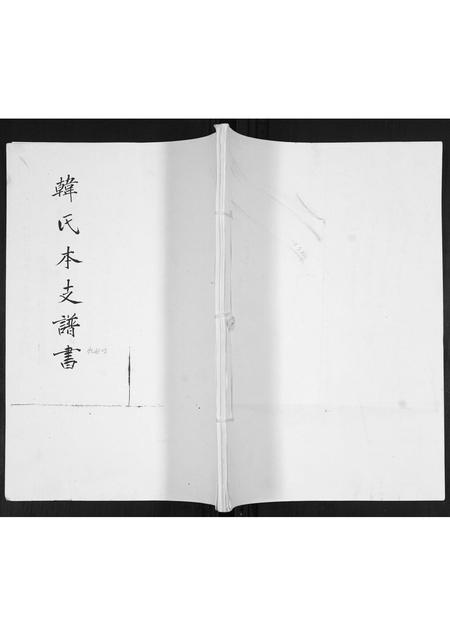 山东韩氏-韩氏本支谱书.pdf电子版缩略图