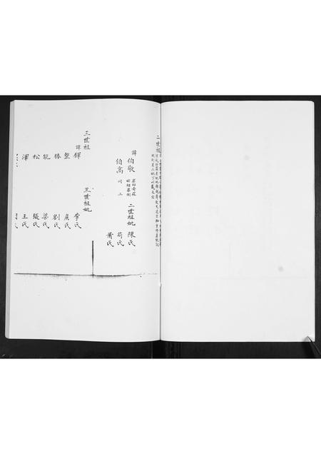 山东韩氏-韩氏本支谱书.pdf电子版预览图5