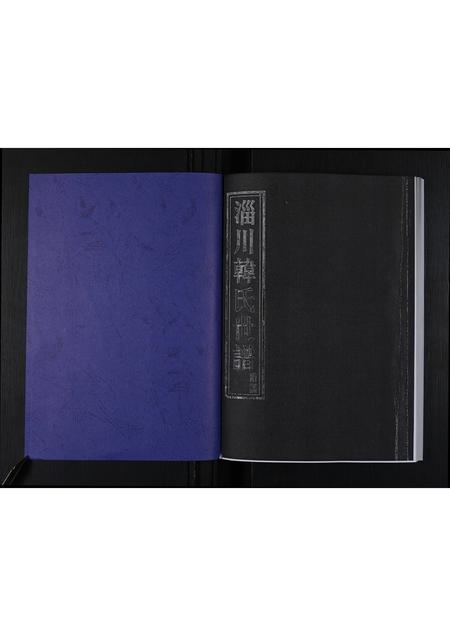 山东韩氏-淄川韩氏世谱 [不分卷](别名：淄川韩氏十修族谱附谱).pdf电子版预览图1