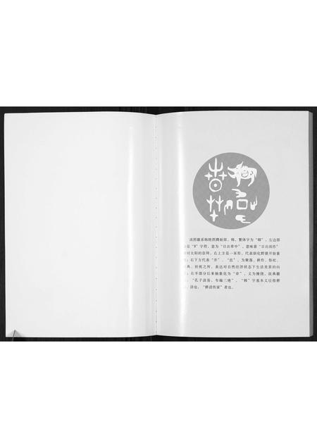 陜西韩氏-扶风闫村韩氏玉合家谱.pdf电子版预览图2