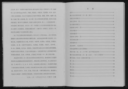 四川何氏-何氏新谱[不分卷].pdf电子版预览图5