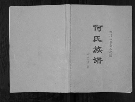 四川何氏-何氏族谱[不分卷].pdf电子版缩略图