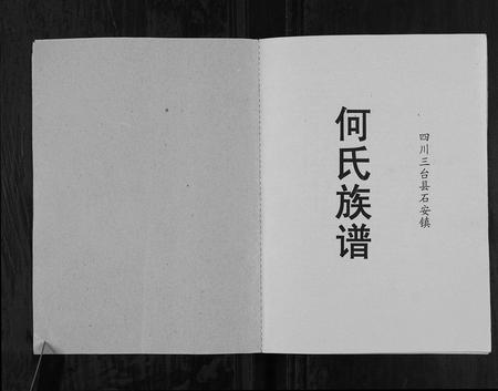 四川何氏-何氏族谱[不分卷].pdf电子版预览图1