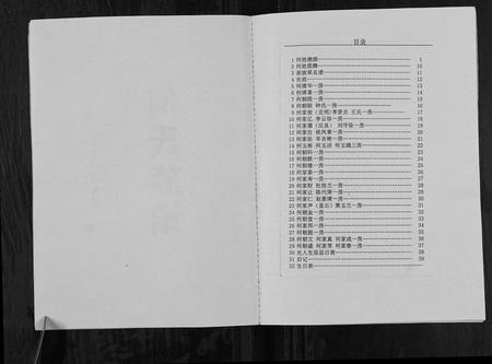 四川何氏-何氏族谱[不分卷].pdf电子版预览图2