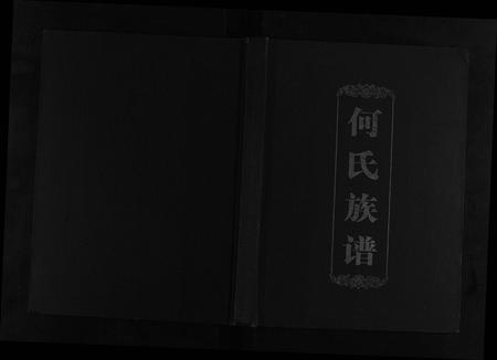 四川何氏-何氏族谱[不分卷].pdf电子版缩略图
