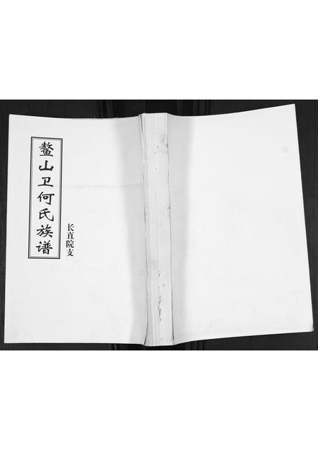 山东何氏-鳌山卫何氏族谱.长直院支.pdf电子版缩略图