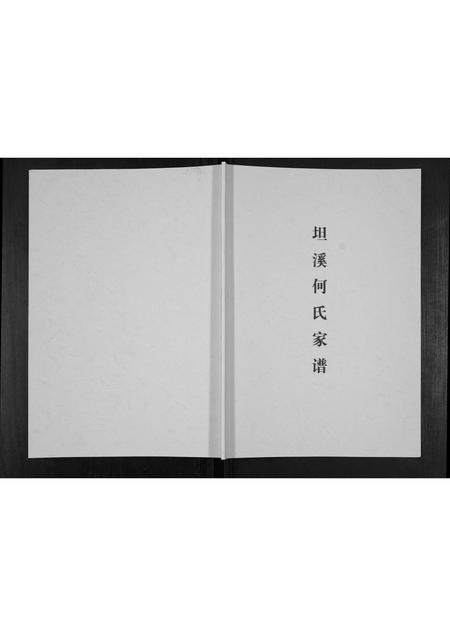 广西何氏-坦溪何氏家谱[不分卷].pdf电子版缩略图