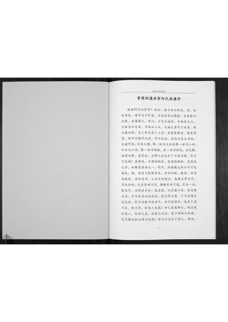 广西何氏-坦溪何氏家谱[不分卷].pdf电子版预览图1