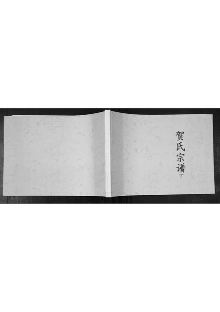 山东贺氏-贺氏宗谱[2册].pdf电子版缩略图