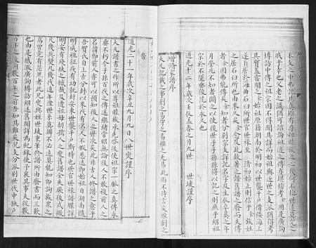 山东贺氏-贺氏族谱[4卷].pdf电子版预览图3