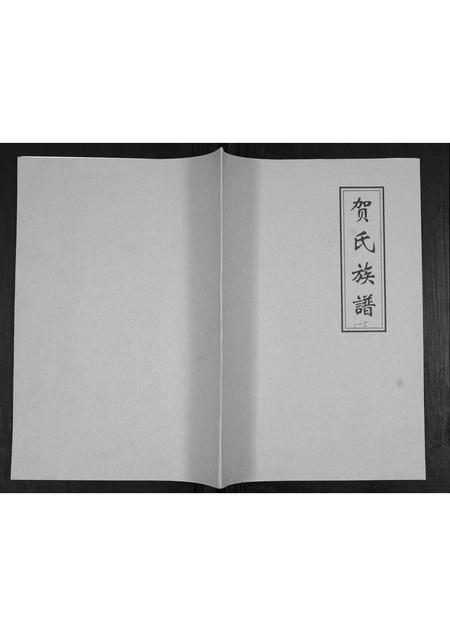 山东贺氏-贺氏族谱[不分卷].pdf电子版缩略图