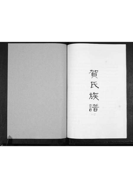 山东贺氏-贺氏族谱[不分卷].pdf电子版预览图1