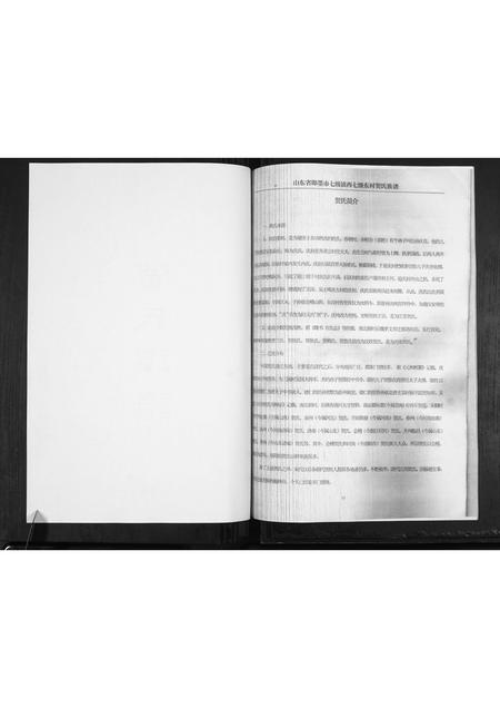 山东贺氏-贺氏族谱[不分卷].pdf电子版预览图2