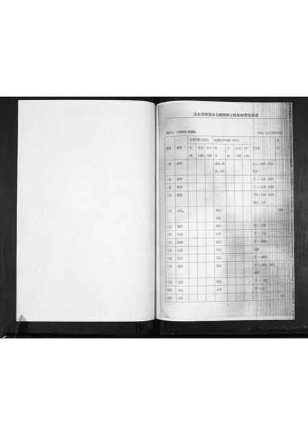 山东贺氏-贺氏族谱[不分卷].pdf电子版预览图4