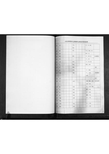 山东贺氏-贺氏族谱[不分卷].pdf电子版预览图5