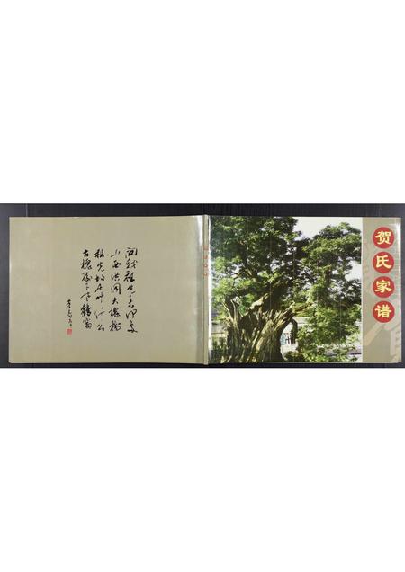 河北贺氏-贺氏家谱[不分卷].pdf电子版缩略图