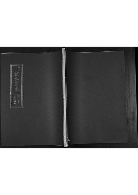 山东侯氏-侯氏家乘[不分卷].pdf电子版缩略图