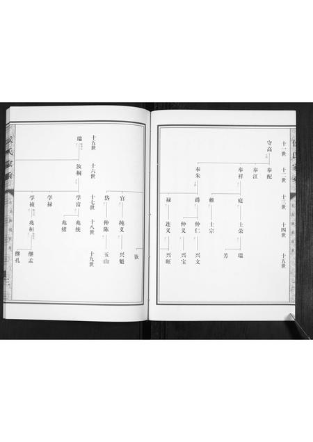 山东侯氏-侯氏家乘[不分卷].pdf电子版预览图3