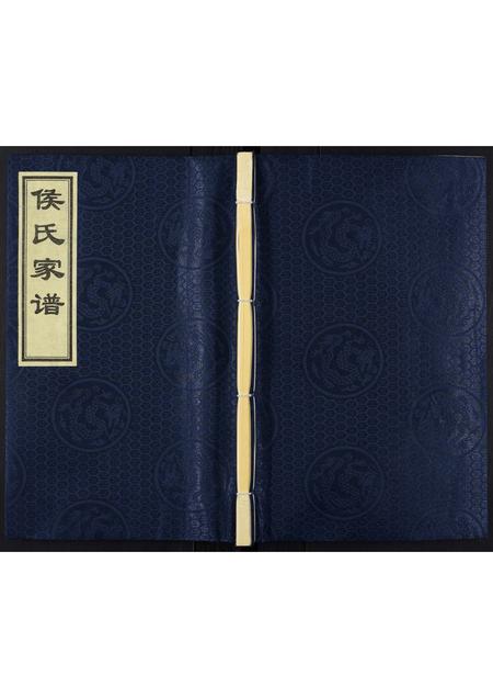 山东侯氏-侯氏家谱.pdf电子版缩略图